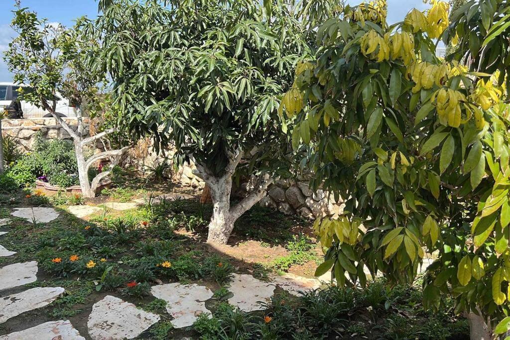 אחוזת היניבים Yaniv Estate Villa Nurit ภายนอก รูปภาพ