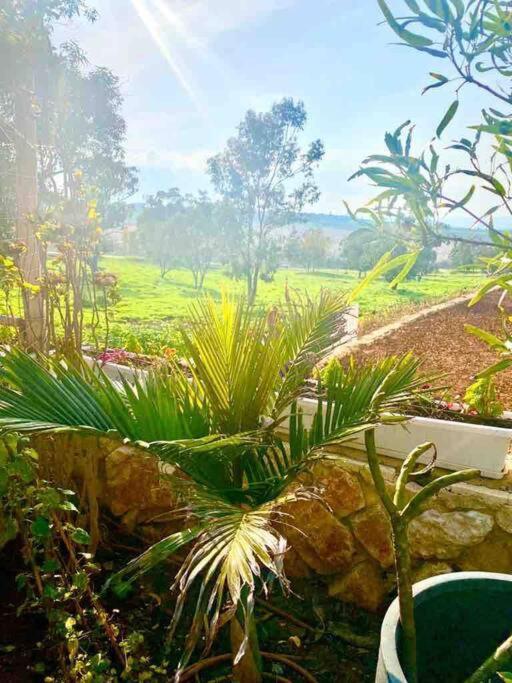 אחוזת היניבים Yaniv Estate Villa Nurit ภายนอก รูปภาพ